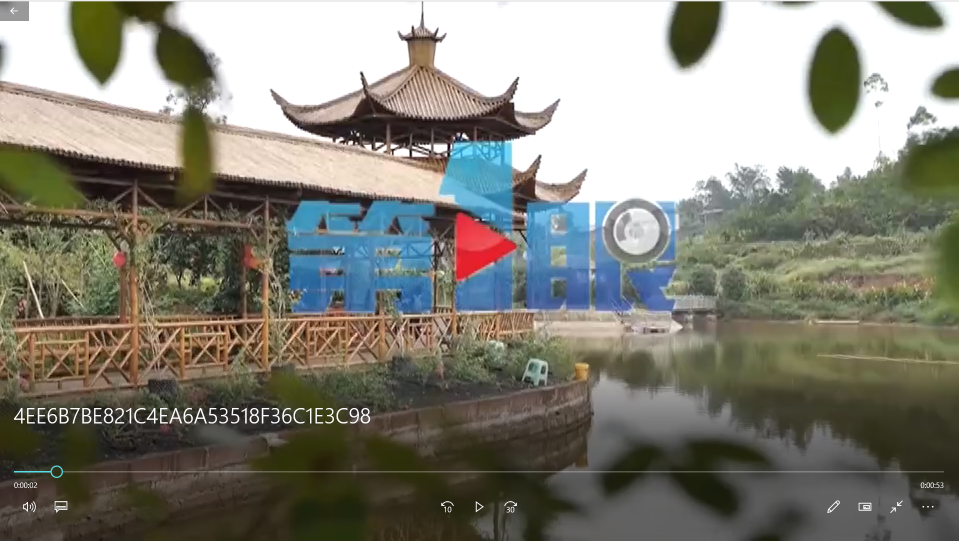 糖心VLOG官方网址烤全羊.png